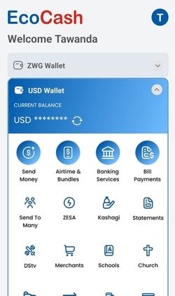 EcoCash App Dashboard