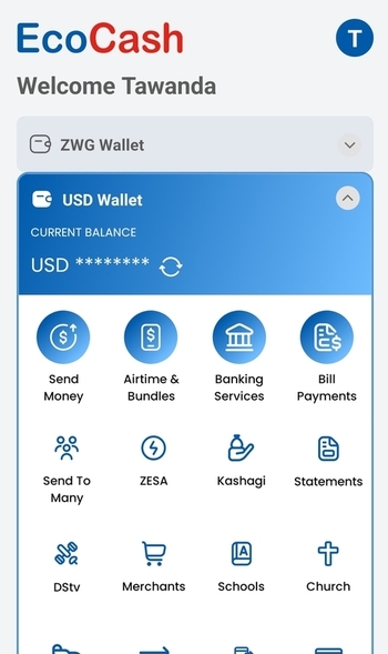 EcoCash App Dashboard